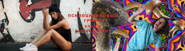 соль курить ск Мегион