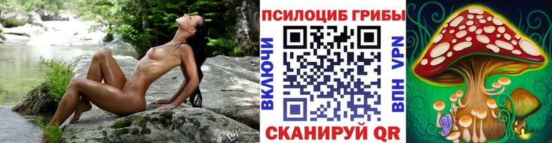 где можно купить   Набережные Челны  Псилоцибиновые грибы Psilocybe 